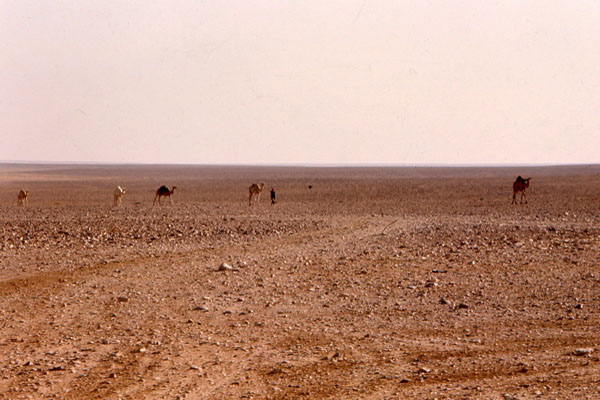 M.Rouge Paysage-08